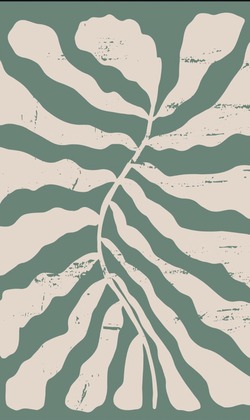 小雞素色長襪(綠.黃.白.藍)